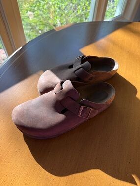 Birkenstock Mule Clogs in Plum